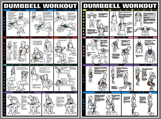 dumbbell workout exercise weightlifting bodybuilding