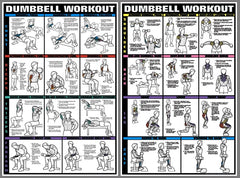 dumbbell workout exercise weightlifting bodybuilding