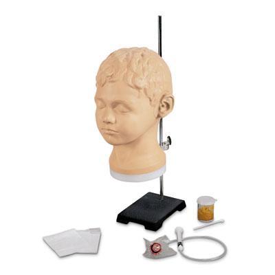 Ear Diagnostic & Procedural Trainer, Pneumatic Otoscopy Kit