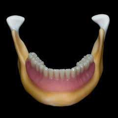 Edentulous Drilling Model