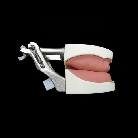 edentulous model