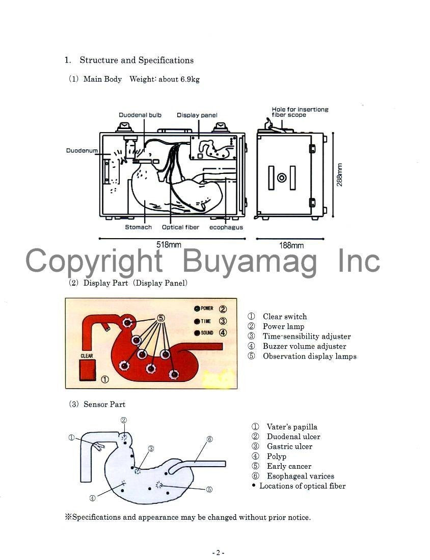 Endoscopy GI ERCP Exam Simulator Manikin Buyamag INC