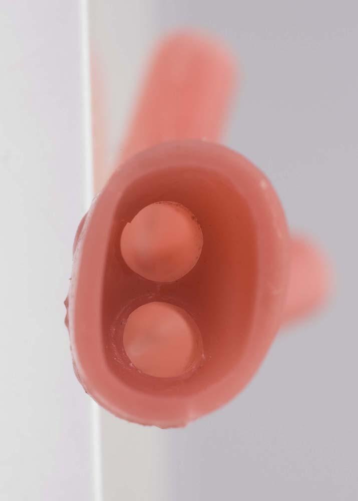 Endoscopy Gastrointestinal Manikin ERCP Phantom: Buyamag – Buyamag INC