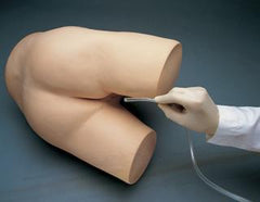 enema model simulator manikin