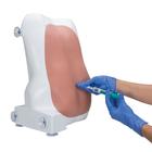 epidural spinal injection simulator