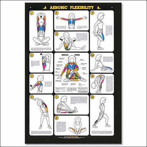 Aerobic Flexibility Postures Chart Exercise Fitness Poster