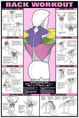 Back Workout Chart Poster