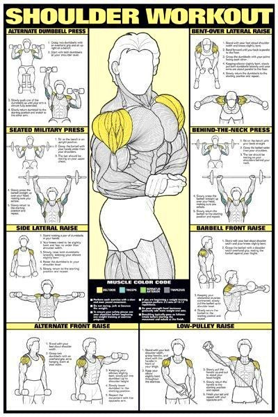 Shoulder Workout weightlifting musclebuilding Chart Poster