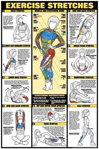 exercise stretches exercise poster chart