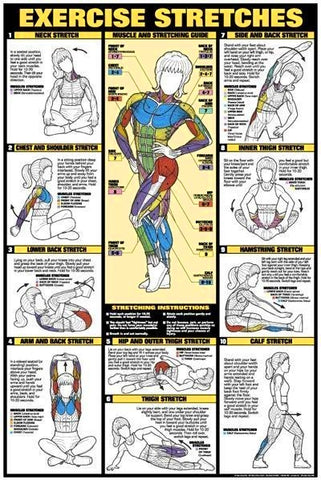 exercise stretches poster chart