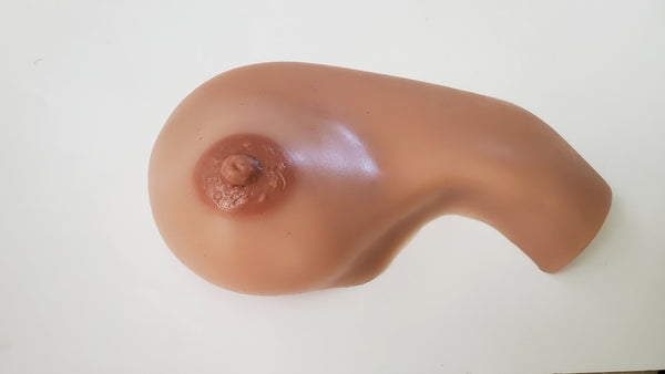 One Right Breast Examination Model Abnormal Lumps Palpation