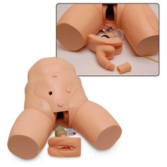 Female & Male  Catheterization Combo Training Genitals Model