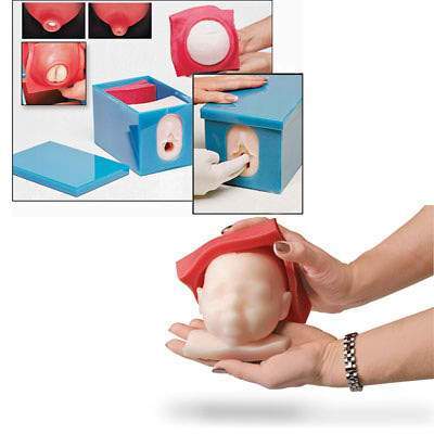 cervical Dilation vaginal examination model manikin