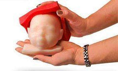 fetus head model