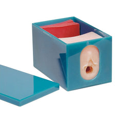 fetal cervical dilation Model