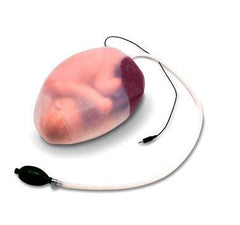 Childbirth Simulator Manikin Fetus Model Amnion Buyamag INC Childbirth Simulator Manikin Fetus Model Amnion Buyamag INC