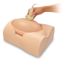 pregnancy fetus ultrasound exam phantom 