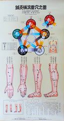 Acupuncture Five Element Chart Poster