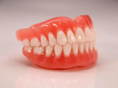 Full Dentures Model
