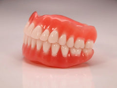 Full Dentures Upper & Lower Jaws Dental Model 28 Teeth