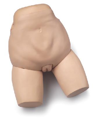 Fundus Skills Assessment Trainer Simulator