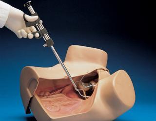 laparascopic gynecology simulator manikin