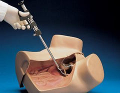 laparascopic gynecology simulator manikin
