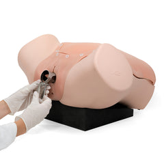 gynecology manikin skills trainer
