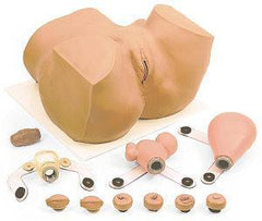 gnecological diagnostic examination manikin 