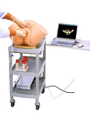 Childbirth Obstetric Gynecological Vaginal Reality Examination Training Simulator Universal