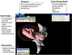 Childbirth Obstetric Gynecological Vaginal Reality Examination Training Simulator Universal