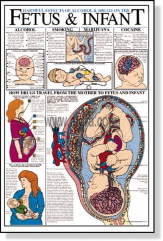 harmful effects of alcohol drugs fetus infunt