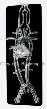 heart catheterization simulator model