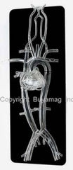 heart catheterization simulator phantom mankin