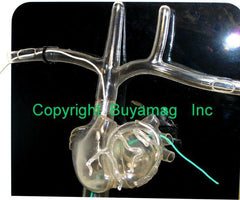 Heart EP Catheterization Venous  Catheterization Training Simulator  "C"