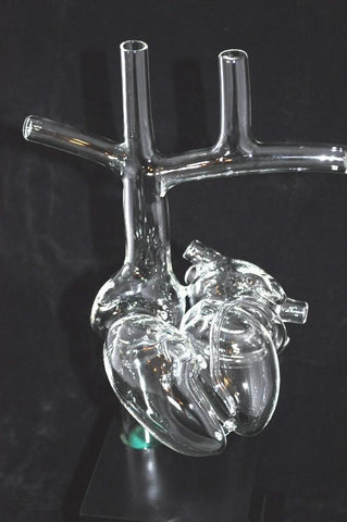 heart phantom simulator model