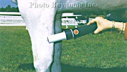 Horse Magnetic Pulsating Field Massager Therapy