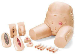 Gastrointestinal Urologic Rectal simulator wound home care training manikin