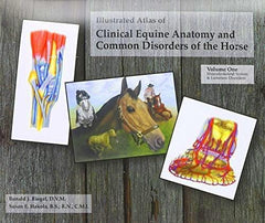 Horse Common Diseases & Disorders Clinical Atlas 100's Color Illustrations 350 Pages  second addition