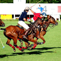 horse allergy supplement 