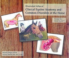 Horse Common Diseases & Disorders Clinical Atlas 100's Color Illustrations 350 Pages  second addition