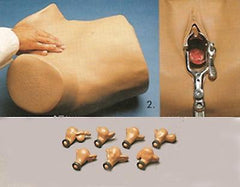 gynecologycal examination simulator