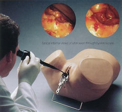 Gynecological Examination Simulator