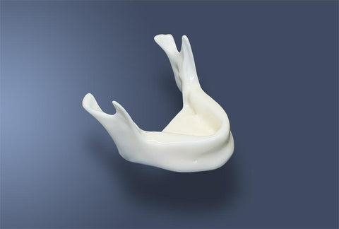 Implantation Drilling Practice & Training Lower Jaw Model