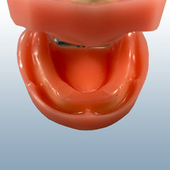 edentulous impression practice model