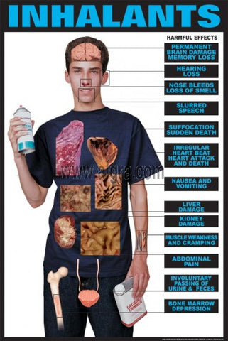 Harmful Drug Effects of Inhalants Poster Chart