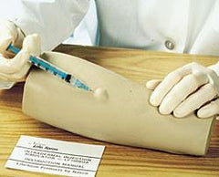 intradermal injection simulator model