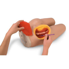 Intramuscular bottock Injection simulator
