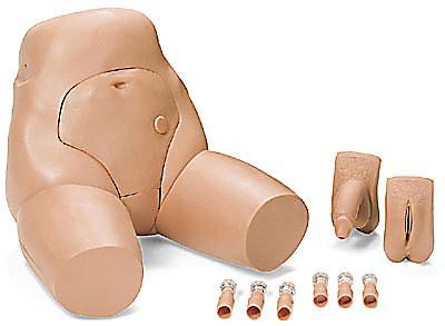 Catheterization Enema rectal genitalia Simulator