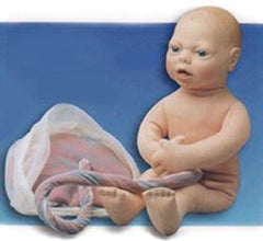 Replacement  Fetal Model